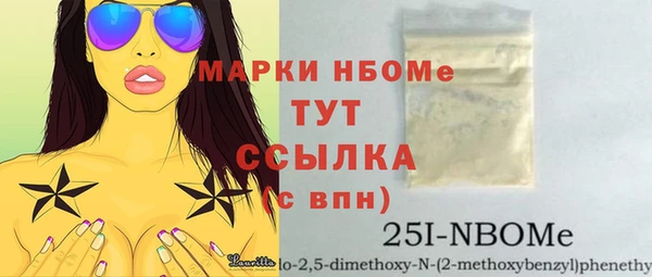 хмурый Алзамай