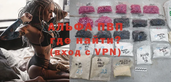 хмурый Алзамай