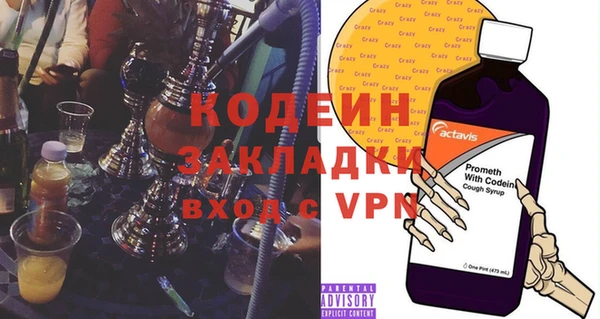 хмурый Алзамай