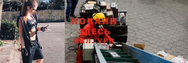 хмурый Алзамай