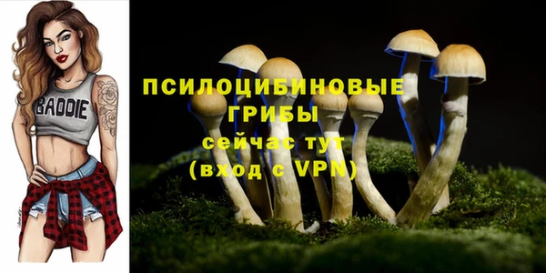 дживик Алексин