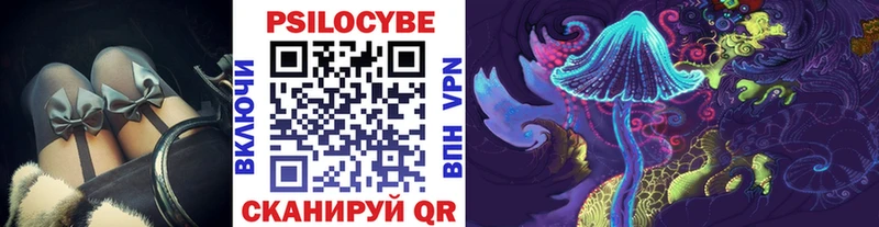 где можно купить наркотик  Нурлат  Галлюциногенные грибы Psilocybe 
